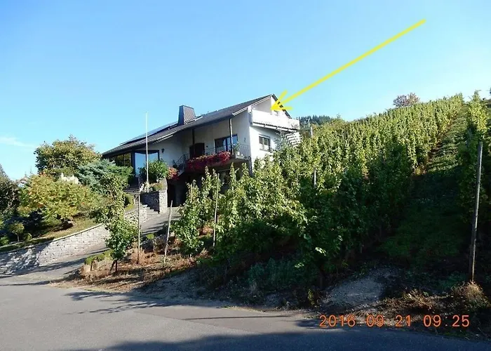 Moselle Panorama Apartamento Enkirch